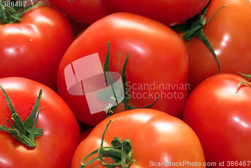 Image of tomatoes