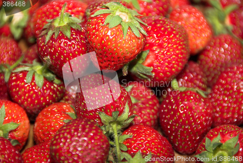 Image of strawberries