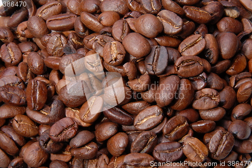 Image of fresh coffee beans