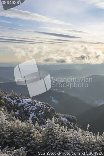 Image of Winter forest valley