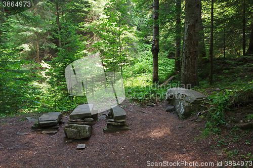 Image of Rest place in forest