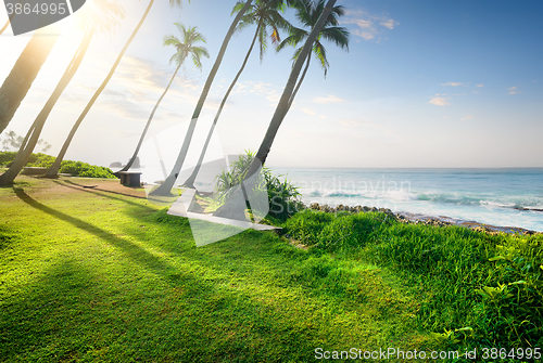 Image of Grass and ocean