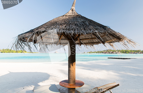 Image of palapa and sunbeds by sea on maldives beach