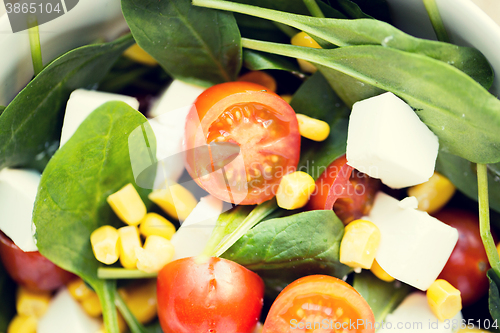 Image of close up of vegetable salad bowl