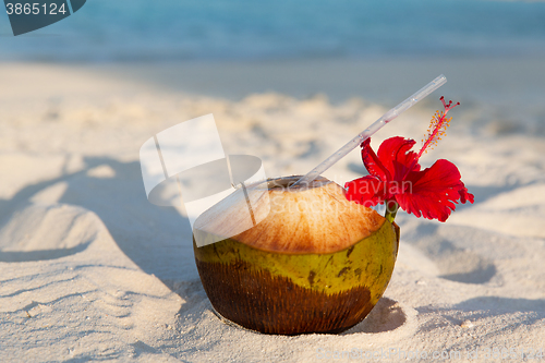 Image of coconut drink on exotic tropical maldives beach