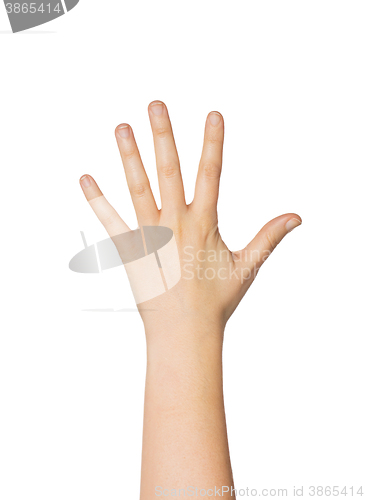 Image of close up of hand showing five fingers