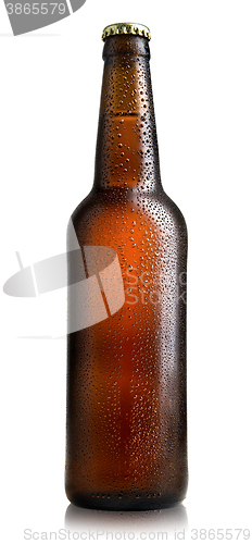 Image of Brown bottle of beer