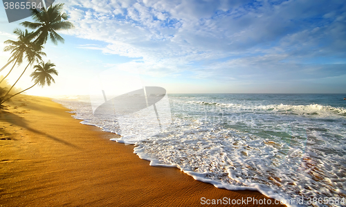 Image of Soft waves of the ocean