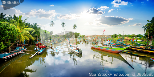 Image of Boats in tropical bay