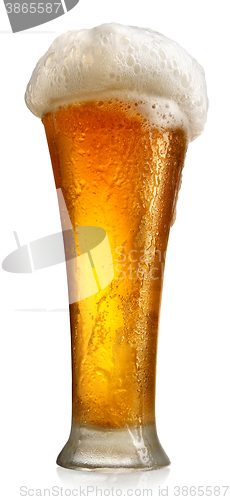 Image of Tumbler with beer