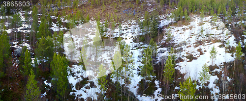 Image of taiga Lapland with the bird\'s eye view, panorama