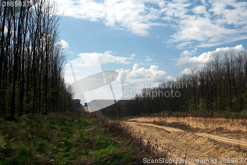 Image of a blue sky clouds trees