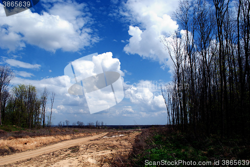 Image of clouds and trees