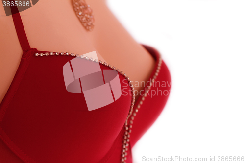 Image of Mannequin in bodice