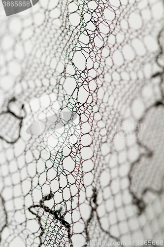 Image of Special lace