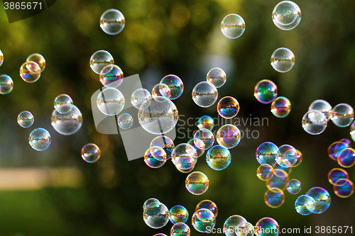 Image of Soap bubbles