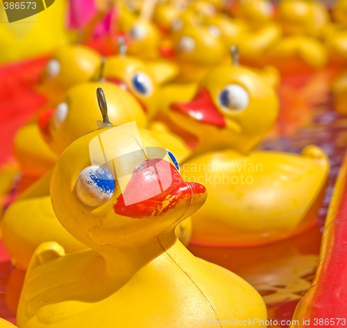 Image of yellow duck