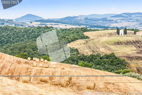 Image of Countryside in Tuscany