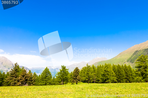 Image of Italian Alps