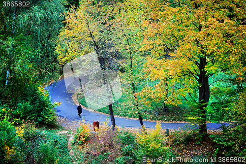 Image of Senior woman walking on the road