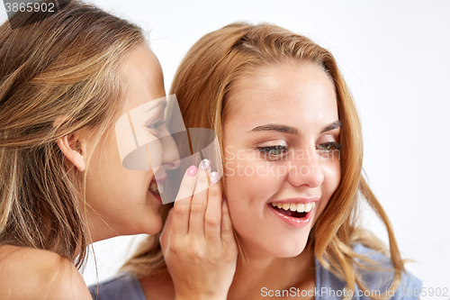 Image of happy young women whispering gossip at home