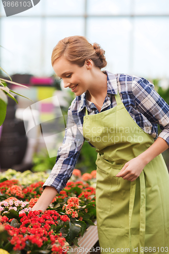 Image of happy woman taking care of flowers in greenhouse