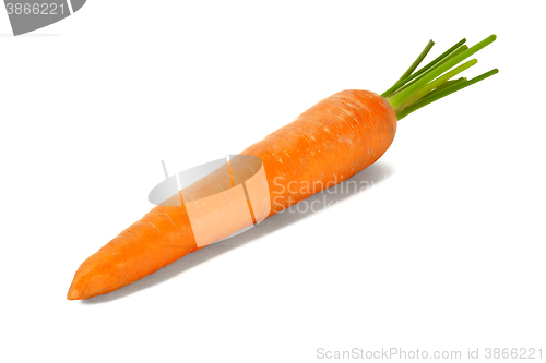 Image of Fresh carrot