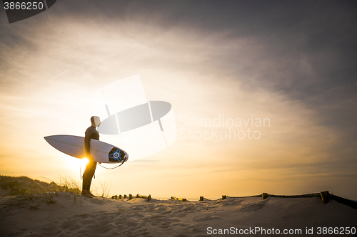 Image of Searching for the swell