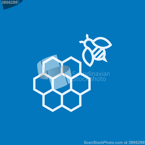 Image of Honeycomb and bee line icon.