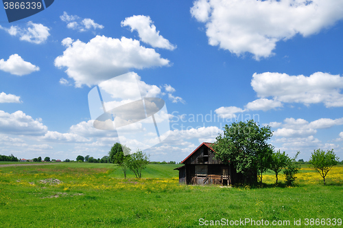 Image of Summer landscape with abandoned farm house