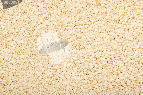 Image of White sesame seed