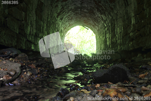 Image of old tunnel in the forest 