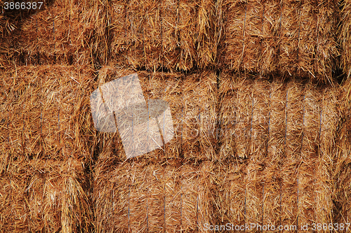 Image of natural straw texture