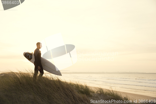 Image of Searching for the swell