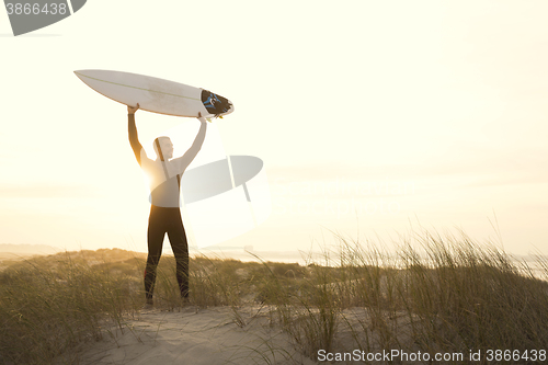 Image of Searching for the swell