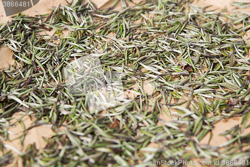 Image of close up of tea raw drying