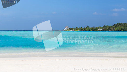 Image of maldives island beach with palm tree and villa