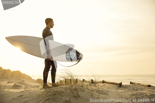 Image of Searching for the swell