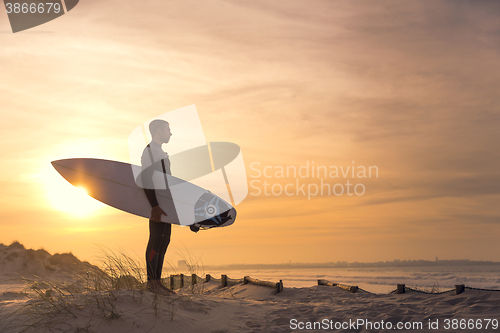 Image of Searching for the swell