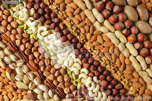 Image of Varieties of nuts.