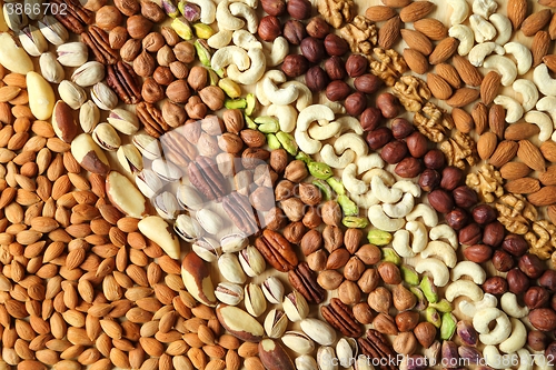 Image of Varieties of nuts.