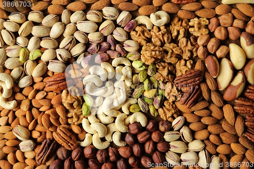 Image of Varieties of nuts.