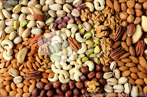 Image of Varieties of nuts.