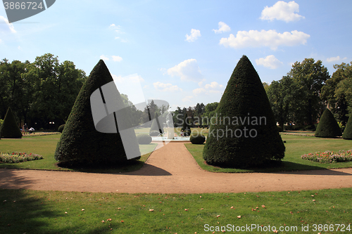 Image of park in the bohemian city