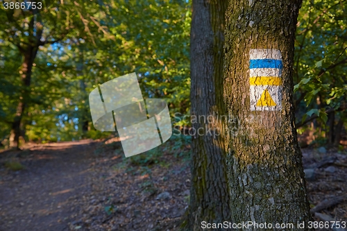 Image of Hiking trail signs