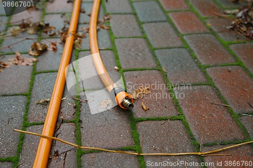 Image of Orange Garden Hose