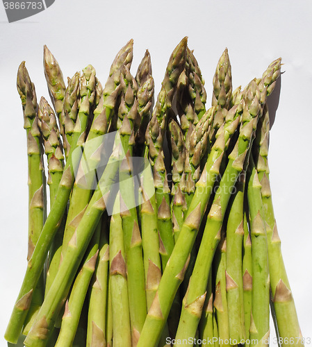 Image of Green Asparagus vegetables