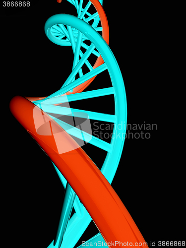 Image of DNA structure model