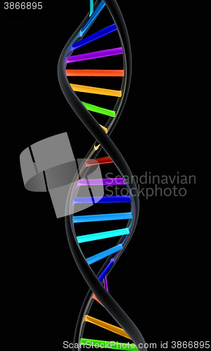 Image of DNA structure model