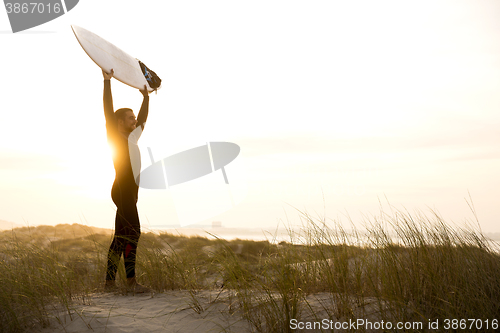 Image of Searching for the swell